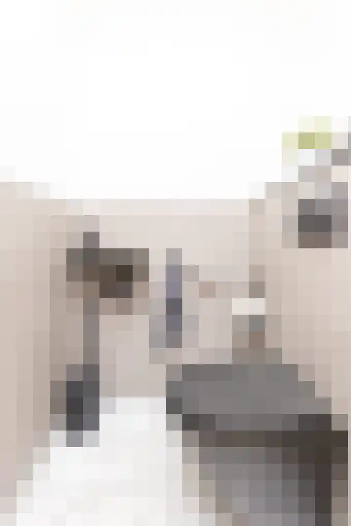 Arubapier 31 Almere thumbnail 7