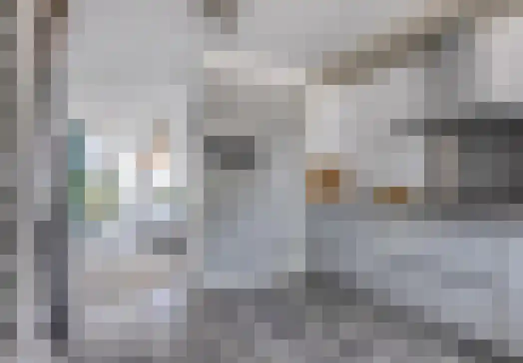Arubapier 35 Almere thumbnail 12