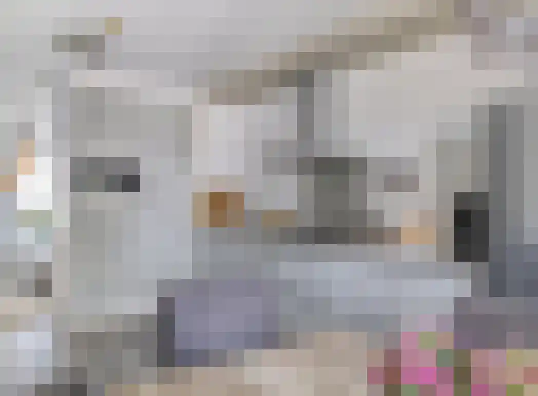 Arubapier 35 Almere thumbnail 13