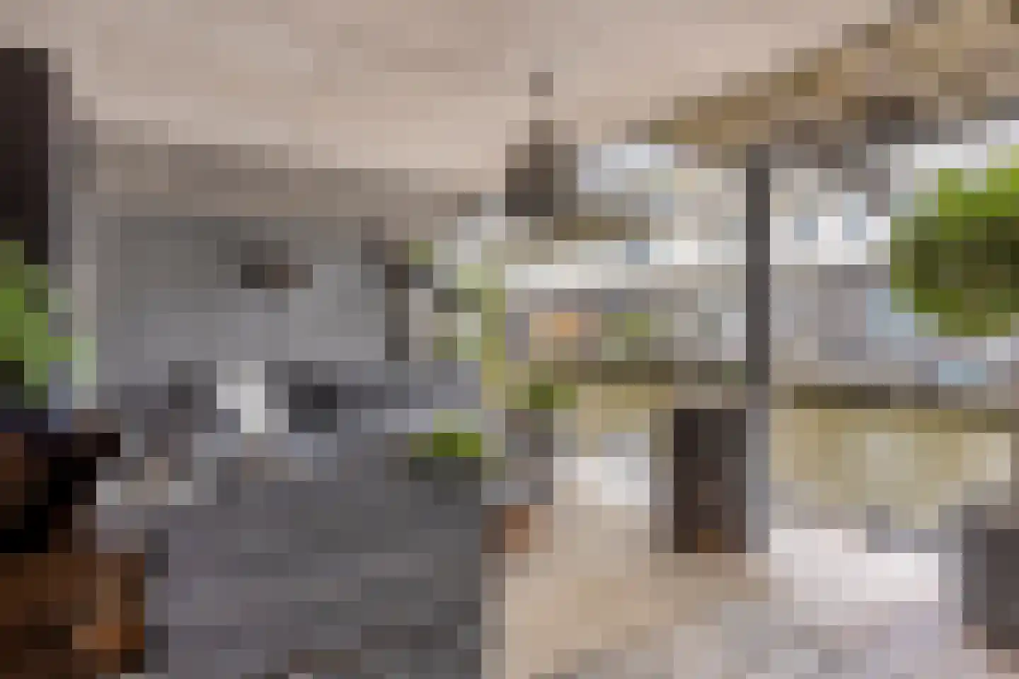 Arubapier 49 Almere thumbnail 13