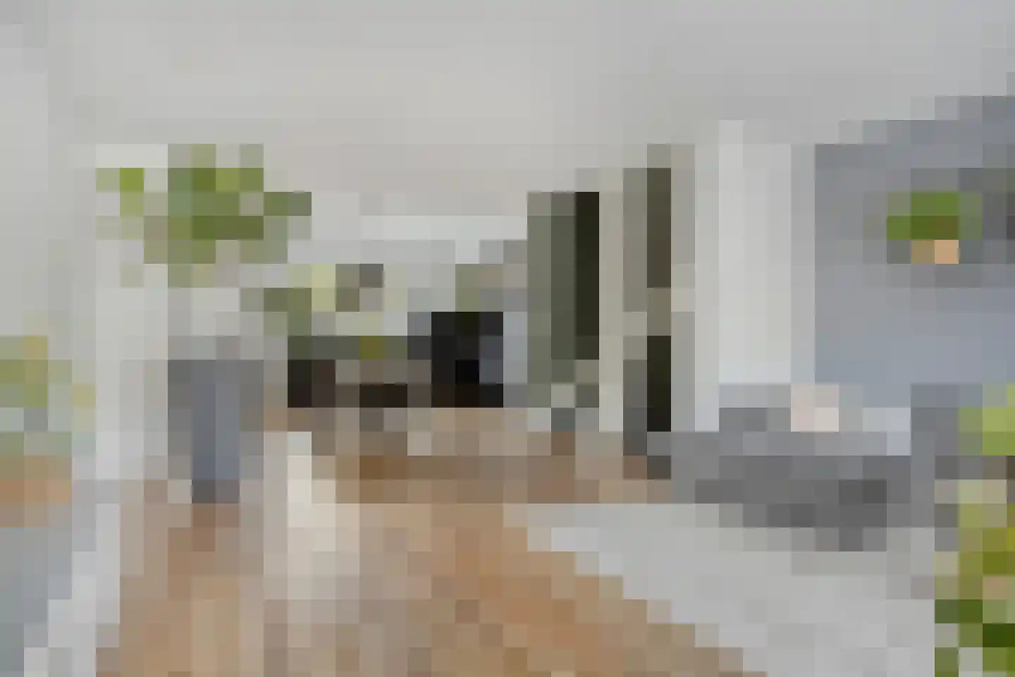 Arubapier 49 Almere thumbnail 19