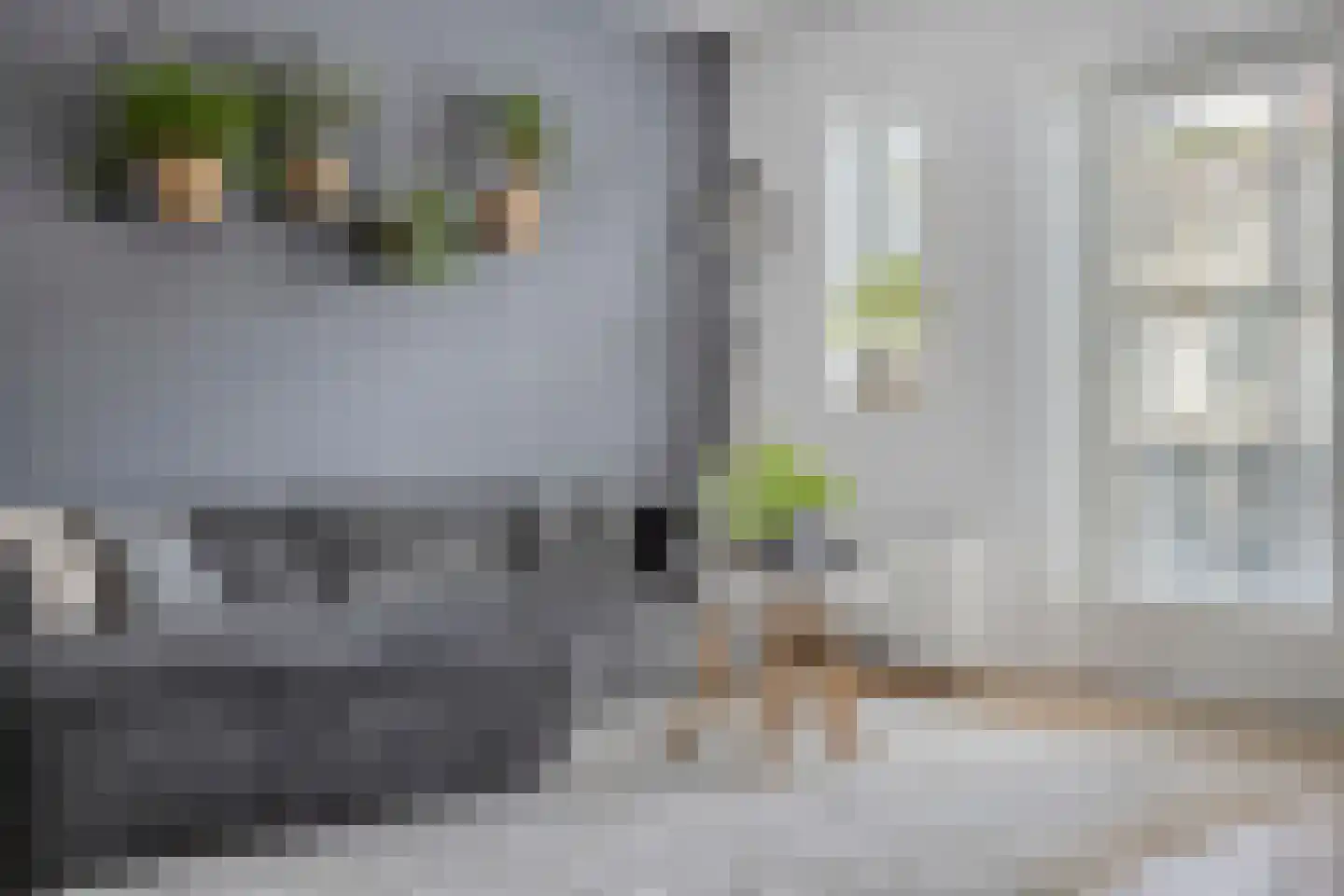 Arubapier 49 Almere thumbnail 21
