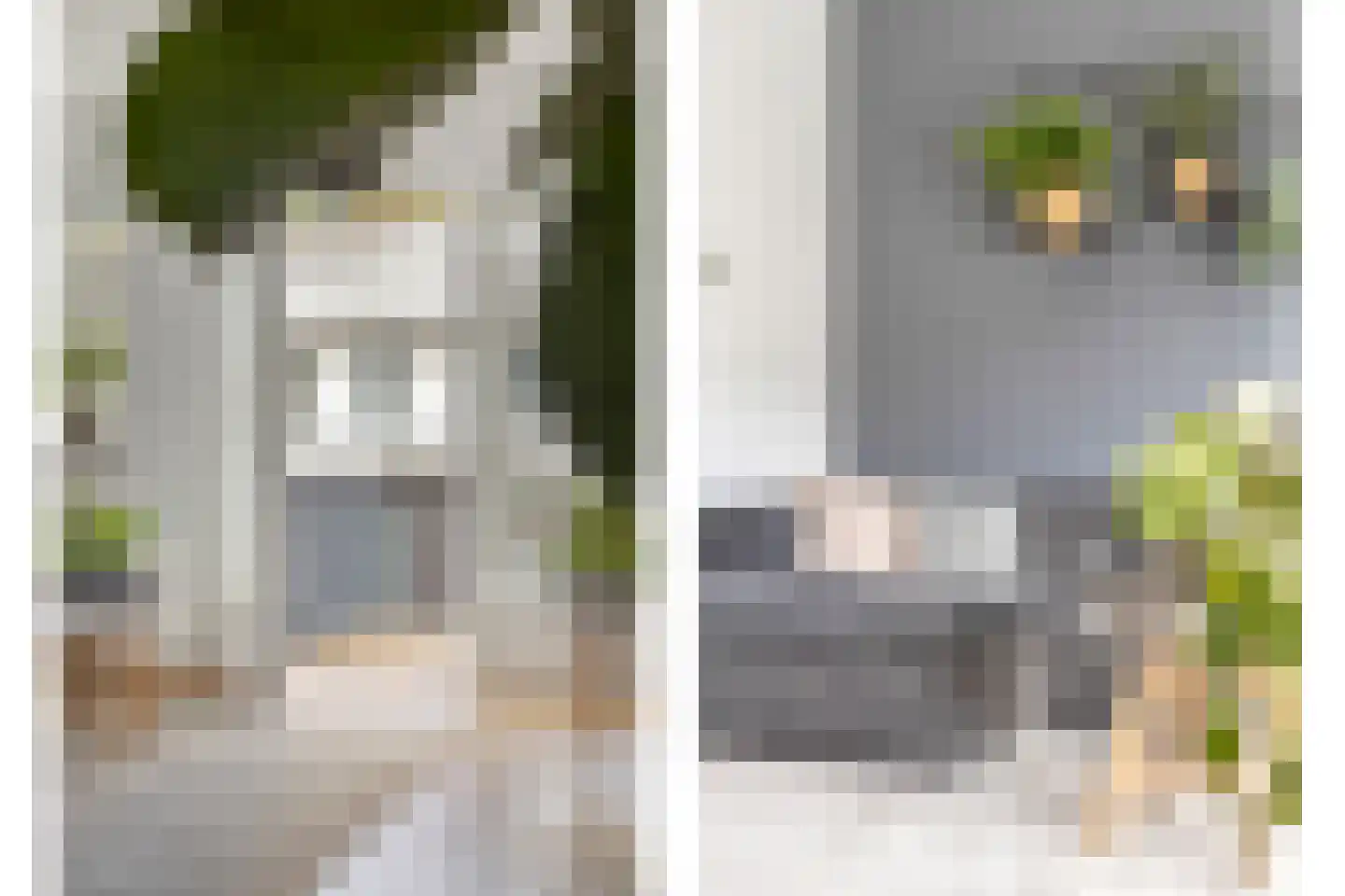 Arubapier 49 Almere thumbnail 22
