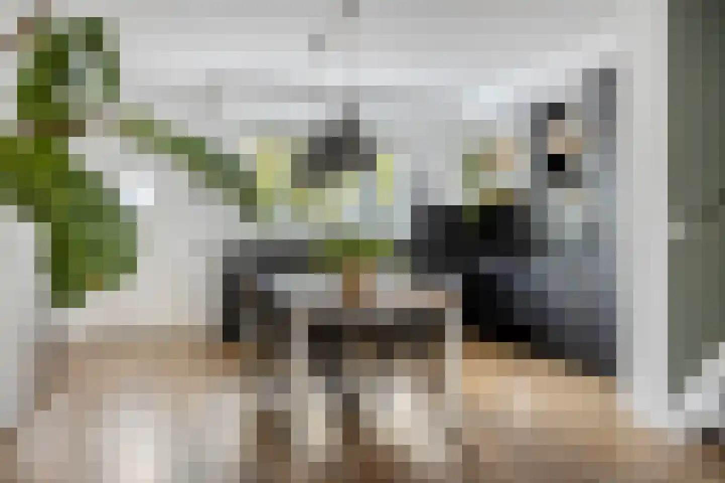 Arubapier 49 Almere thumbnail 23