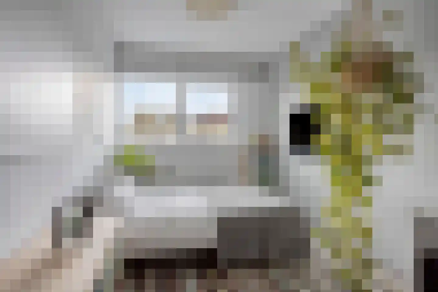 Arubapier 49 Almere thumbnail 31