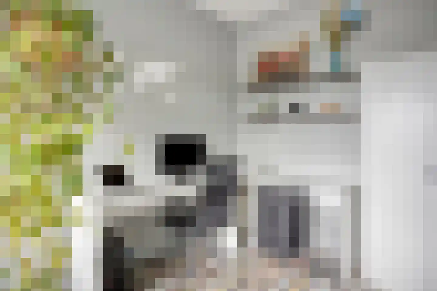Arubapier 49 Almere thumbnail 32