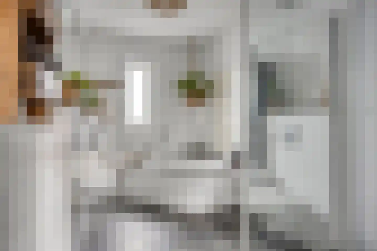 Arubapier 49 Almere thumbnail 33