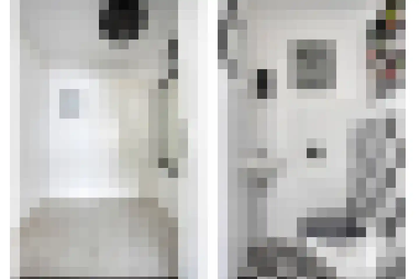 Arubapier 49 Almere thumbnail 7