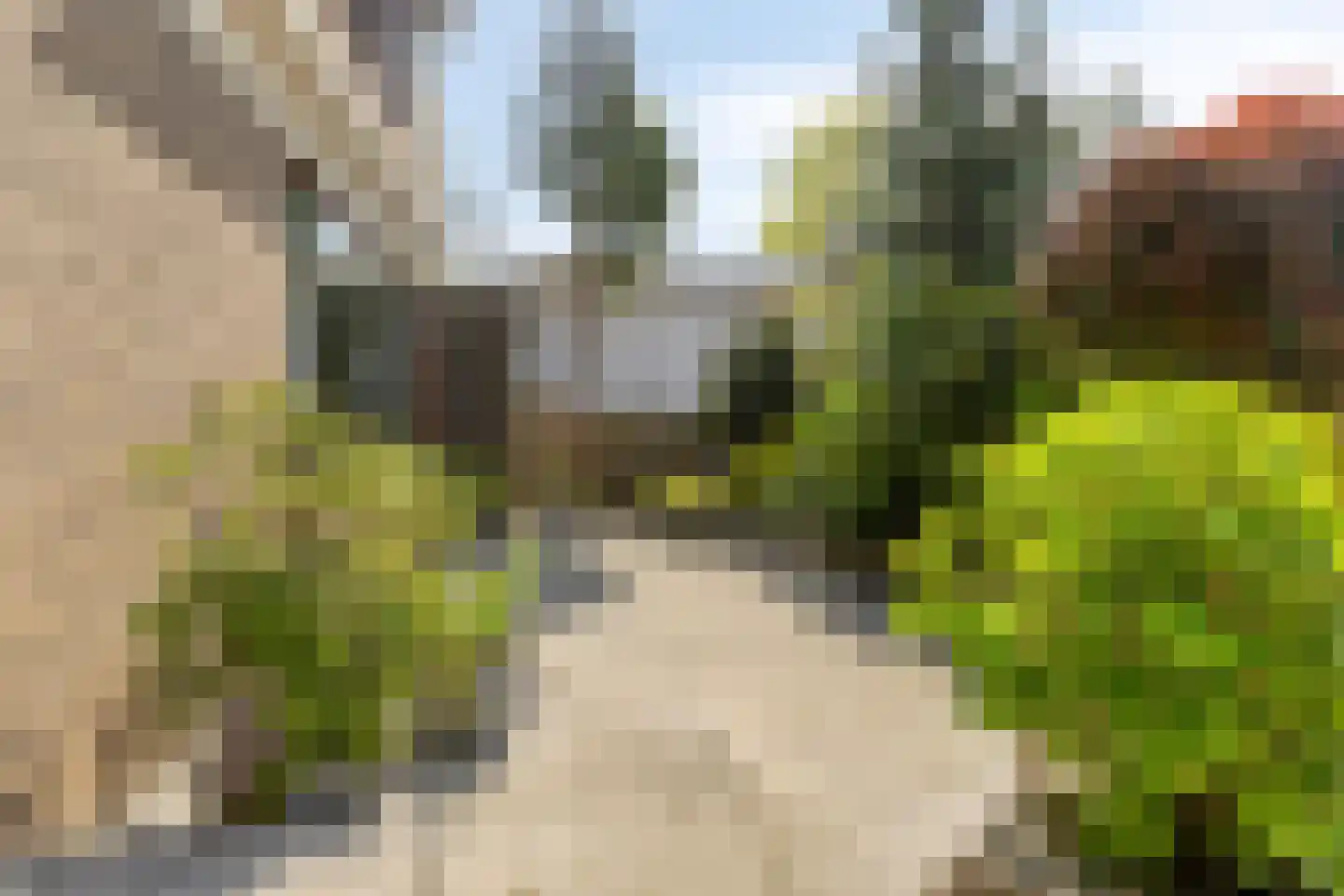 Arubaplein 28 Hoogvliet Rotterdam thumbnail 12