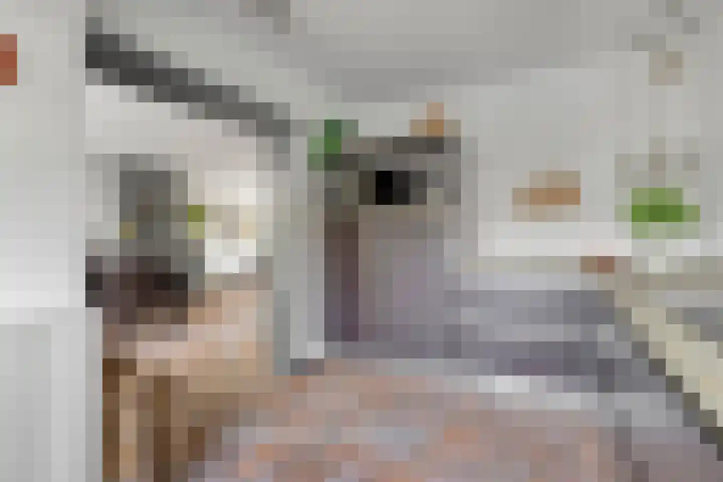 Arubaplein 28 Hoogvliet Rotterdam thumbnail 28