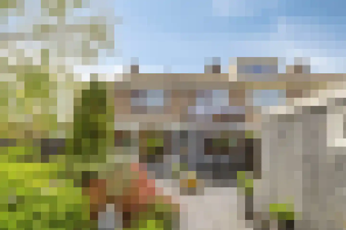 Arubaplein 28 Hoogvliet Rotterdam thumbnail 32