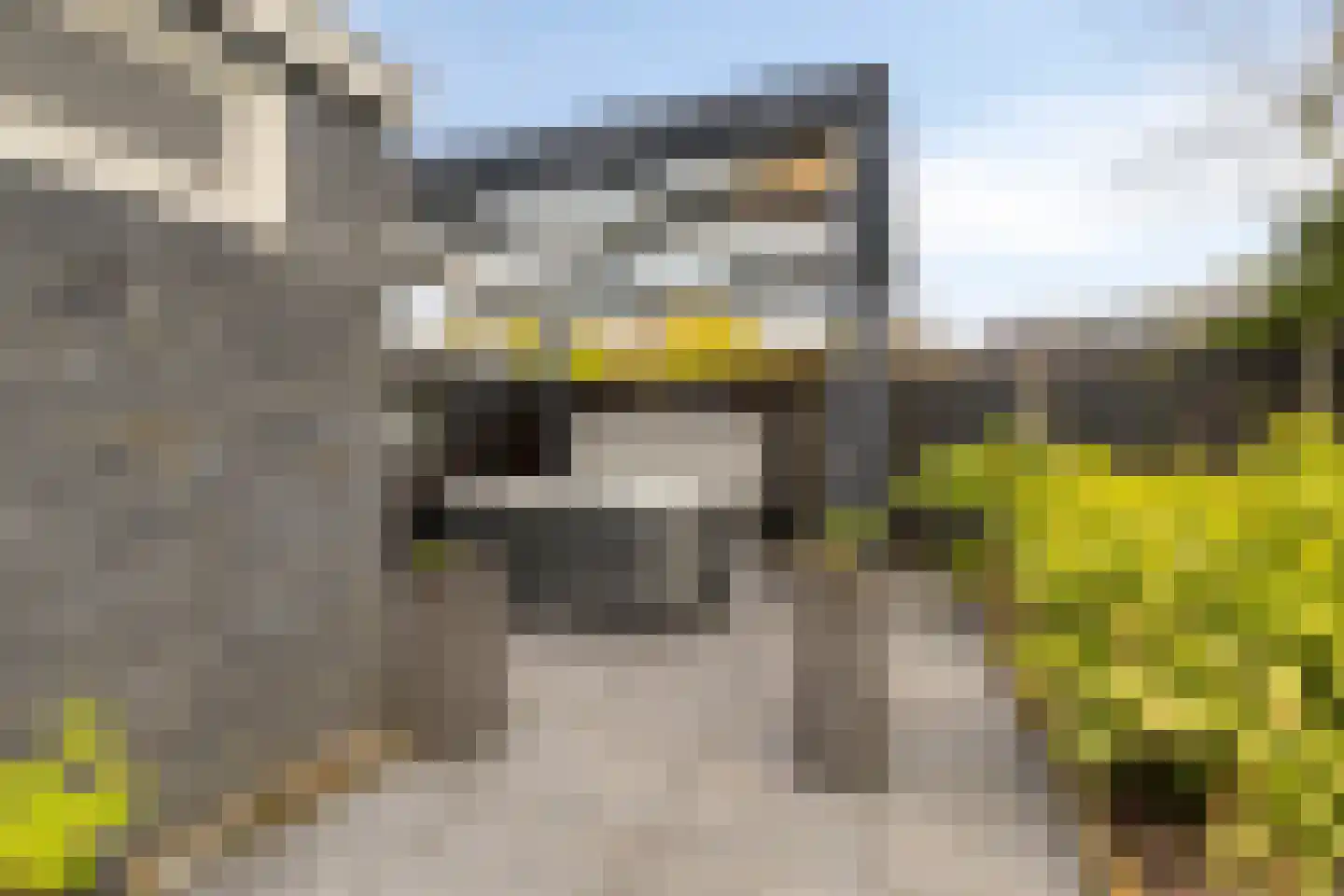 Arubaplein 28 Hoogvliet Rotterdam thumbnail 36