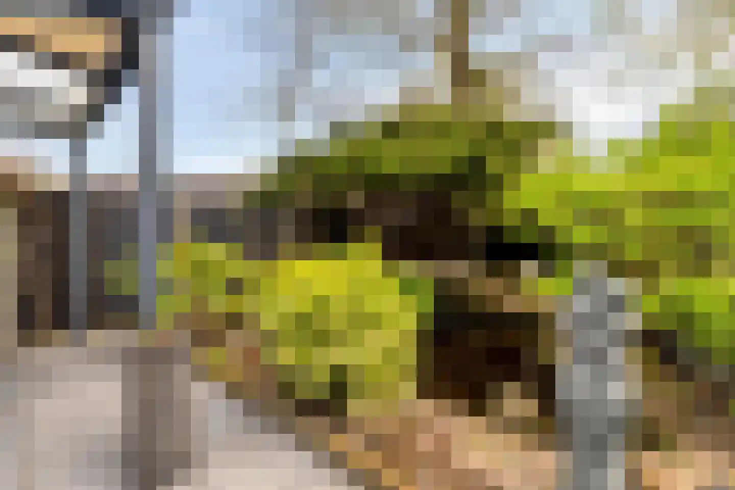 Arubaplein 28 Hoogvliet Rotterdam thumbnail 38