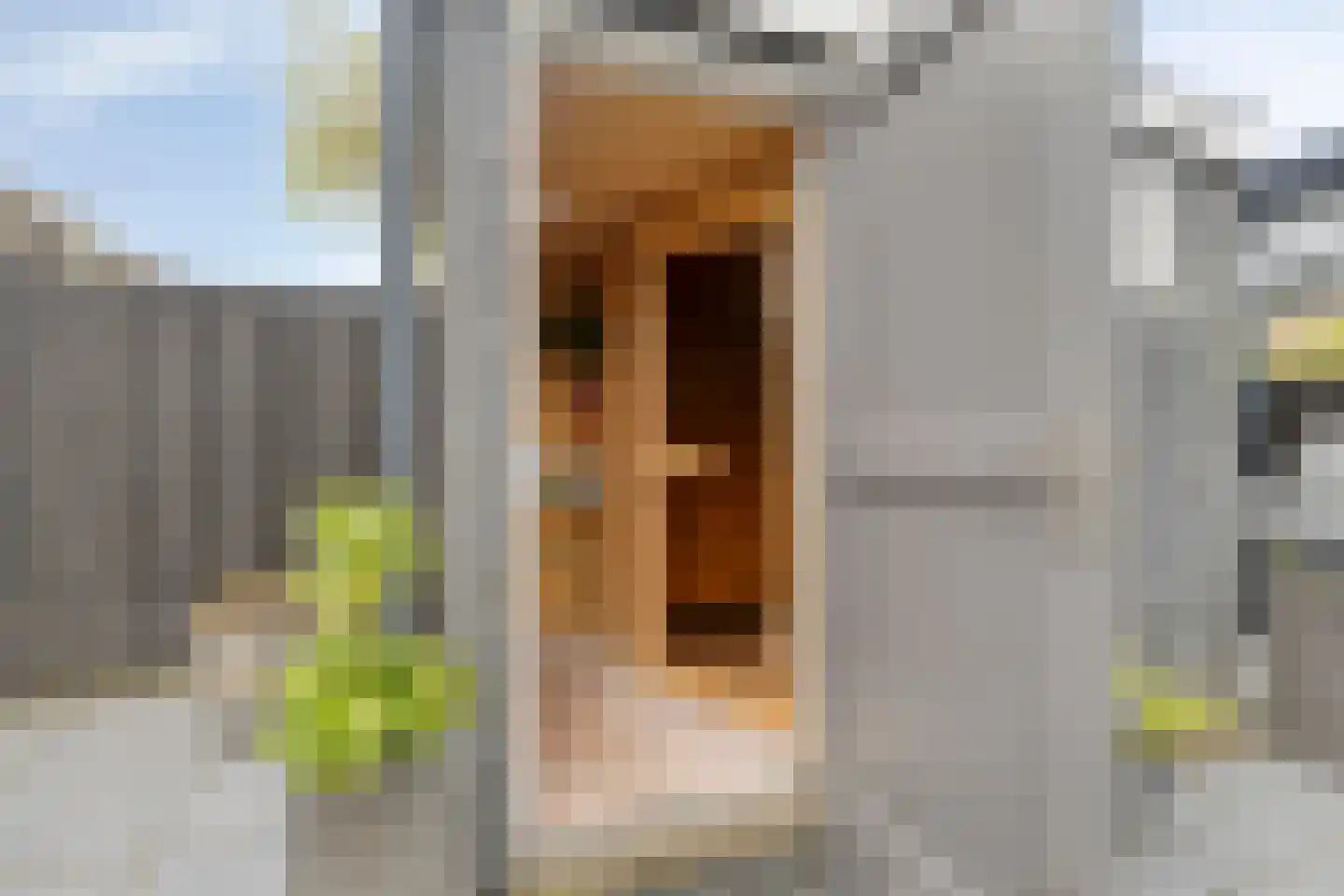 Arubaplein 28 Hoogvliet Rotterdam thumbnail 40