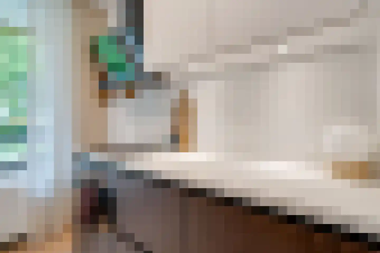 Arubastraat 18 Hengelo thumbnail 20