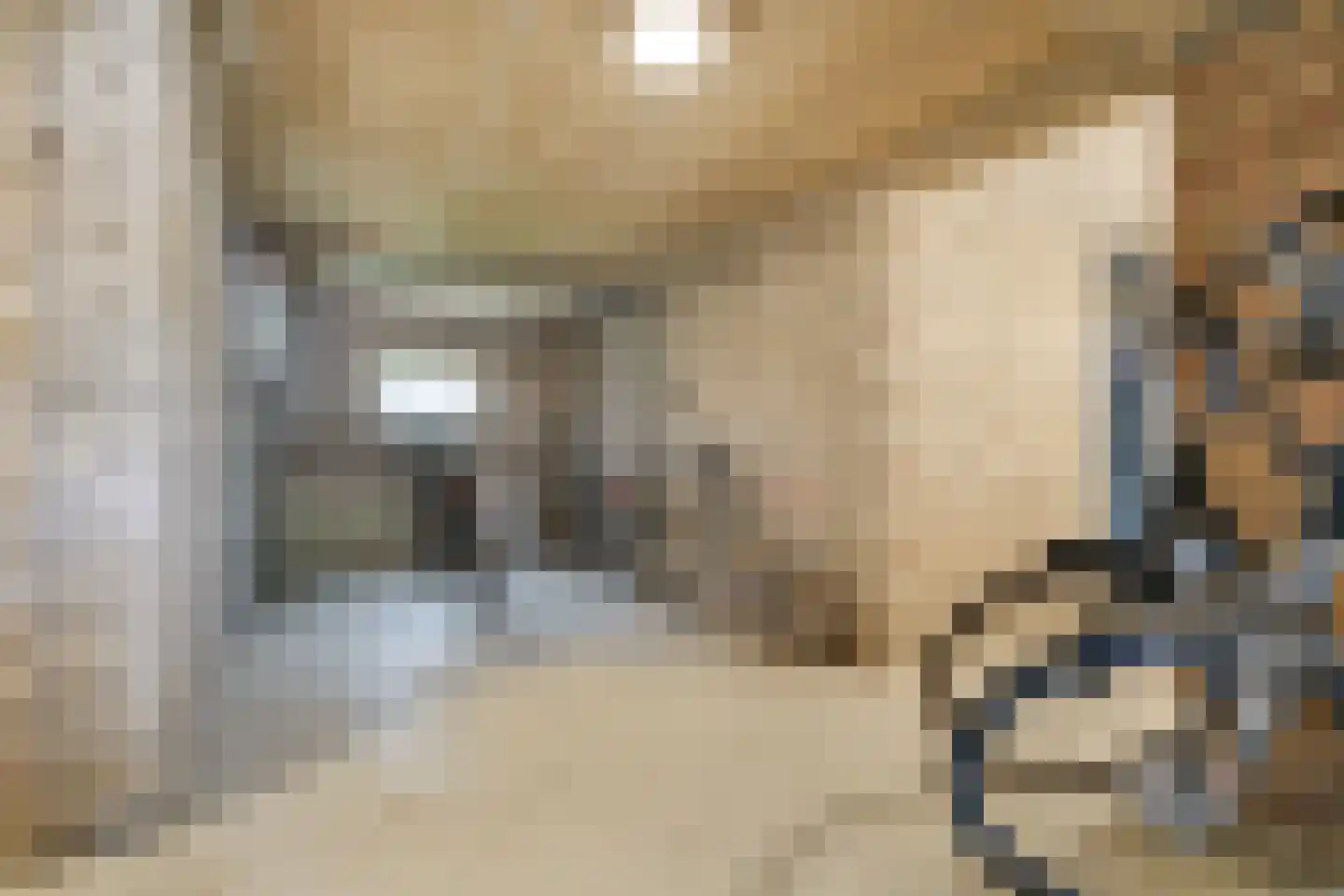 Arubastraat 18 Hengelo thumbnail 37