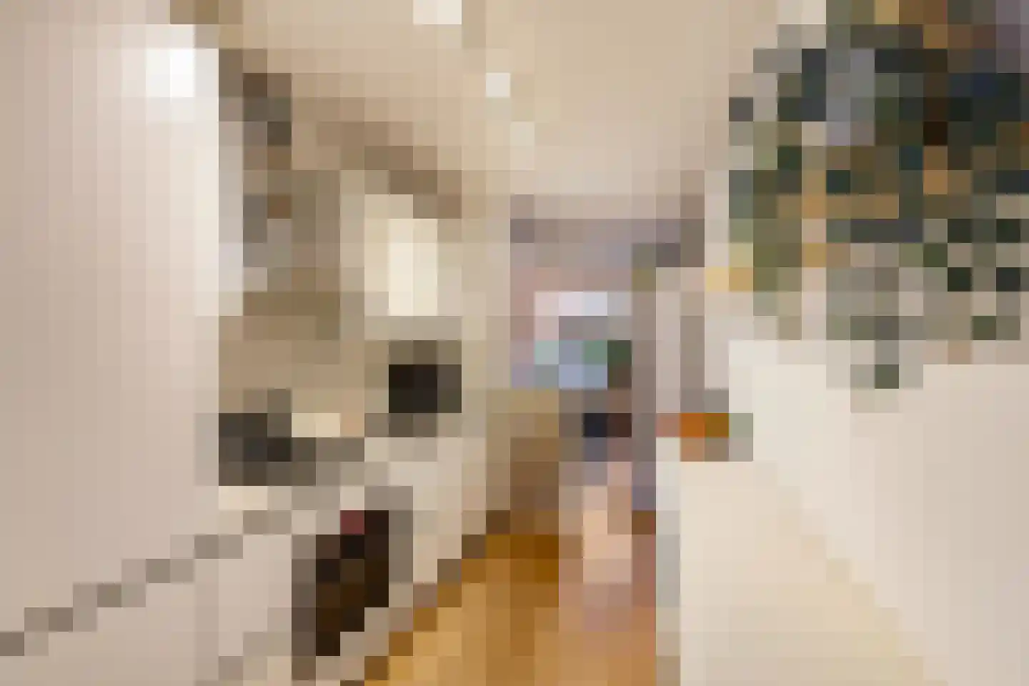 Arubastraat 22 Groningen thumbnail 12