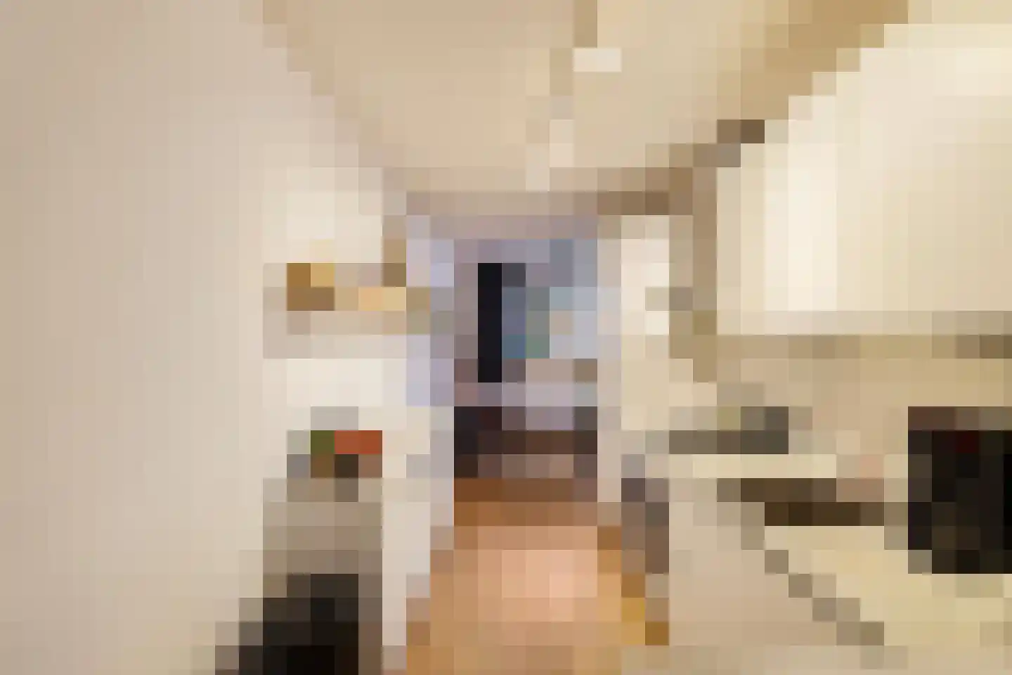 Arubastraat 22 Groningen thumbnail 13