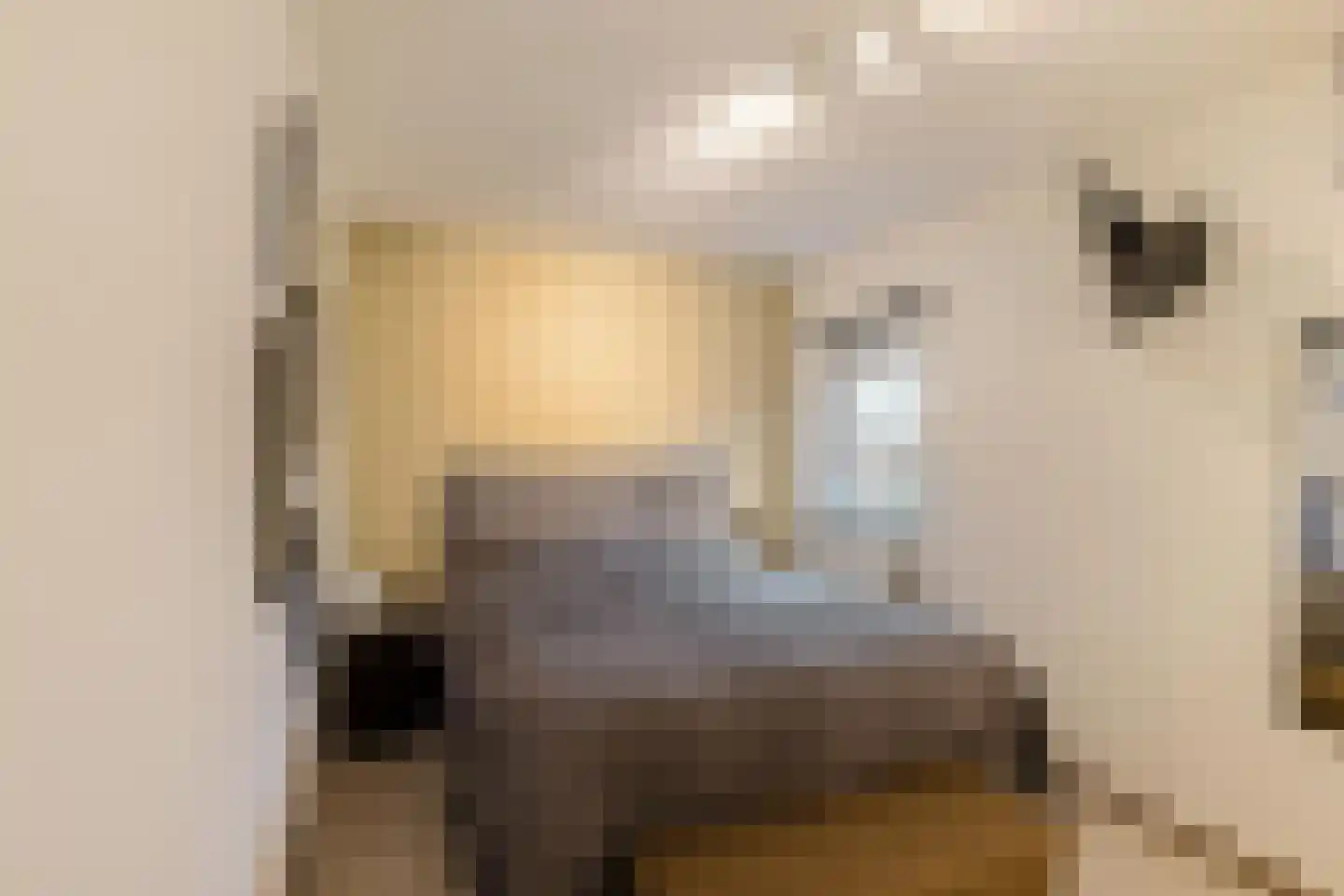 Arubastraat 22 Groningen thumbnail 17