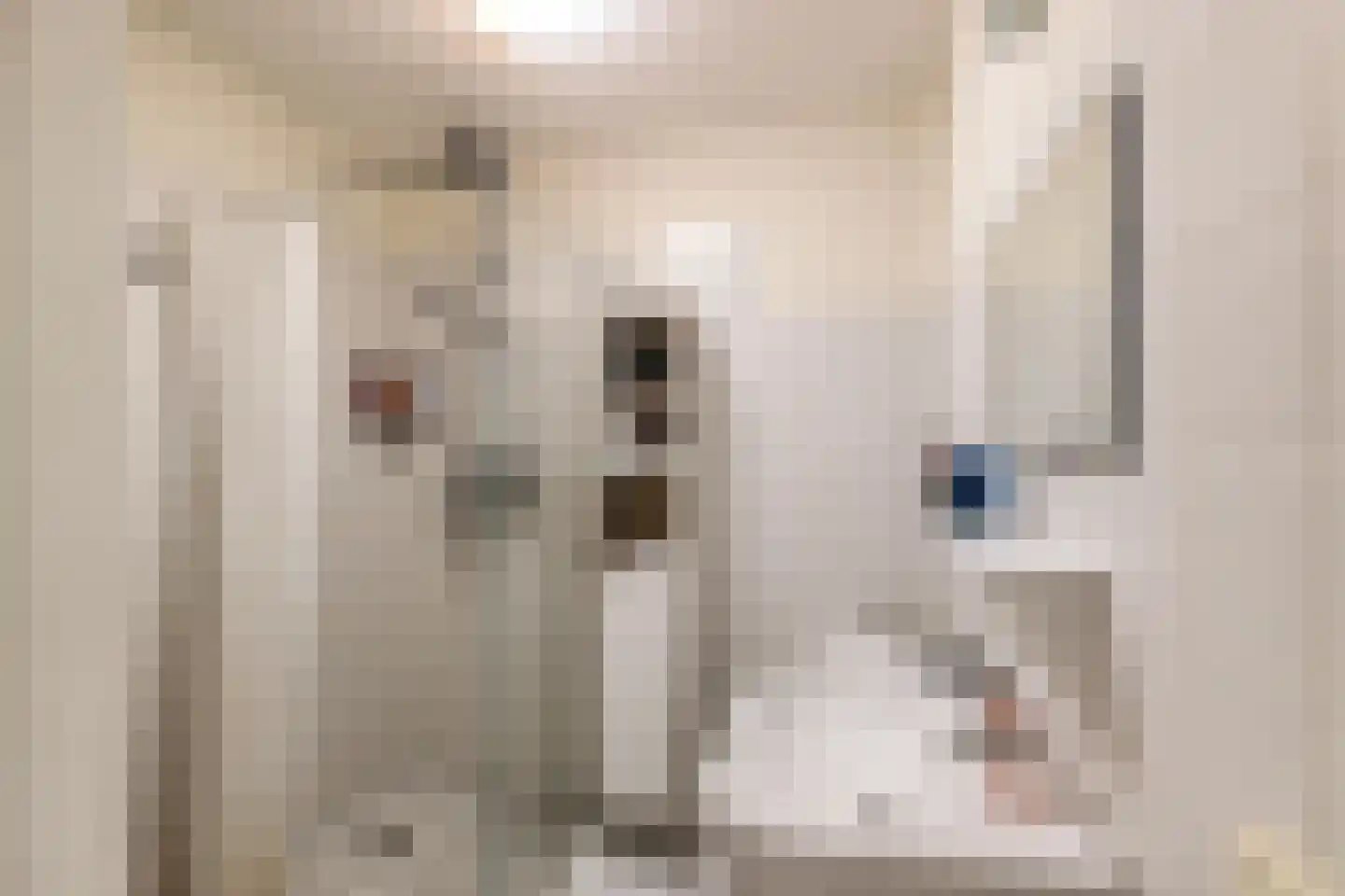 Arubastraat 22 Groningen thumbnail 19