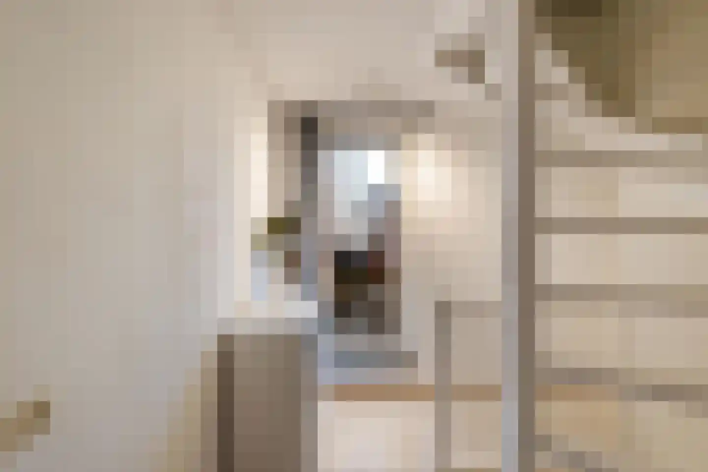 Arubastraat 22 Groningen thumbnail 23