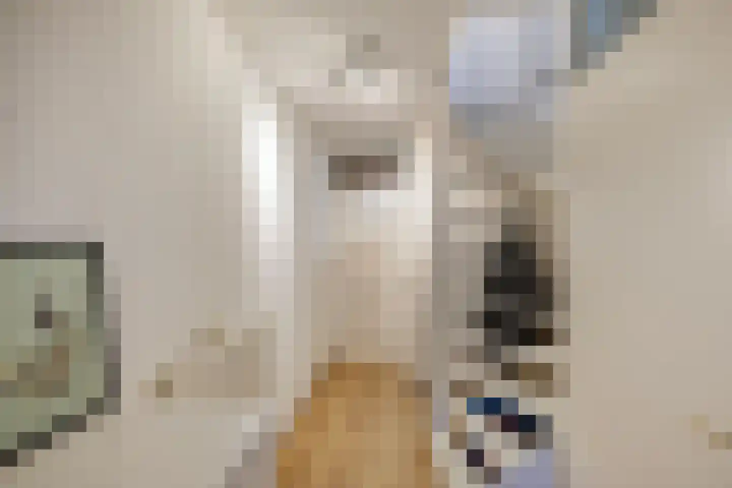 Arubastraat 22 Groningen thumbnail 7