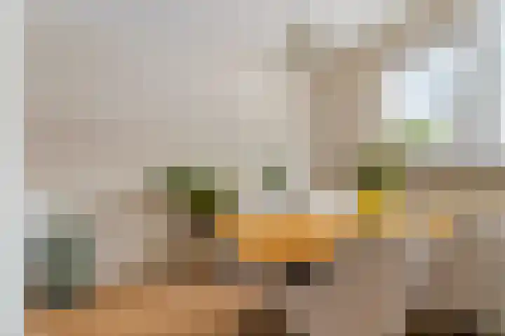 Arubastraat 26 Groningen thumbnail 13