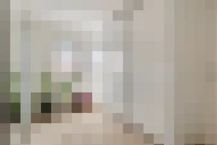 Arubastraat 26 Groningen thumbnail 18