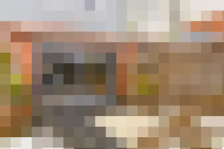Arubastraat 26 Groningen thumbnail 31