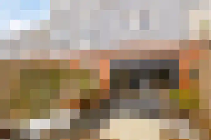 Arubastraat 26 Groningen thumbnail 33