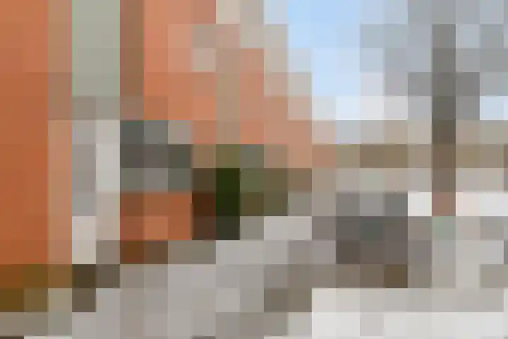 Arubastraat 26 Groningen thumbnail 5