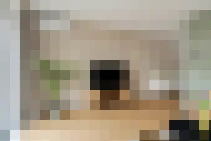 Arubastraat 26 Groningen thumbnail 7