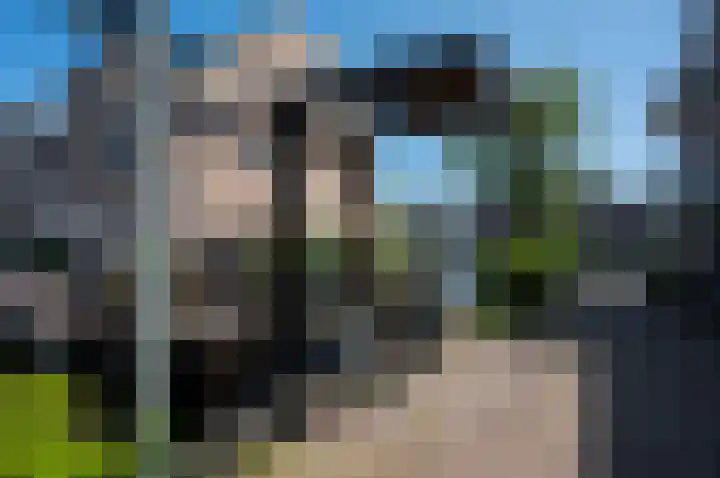 Arubastraat 30 Alphen aan den Rijn thumbnail 36
