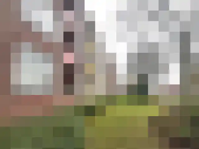 Arubastraat 38 Hengelo thumbnail 21