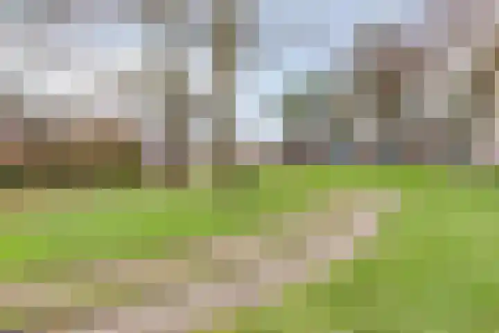 Arumer Feart 2 Franeker thumbnail 11
