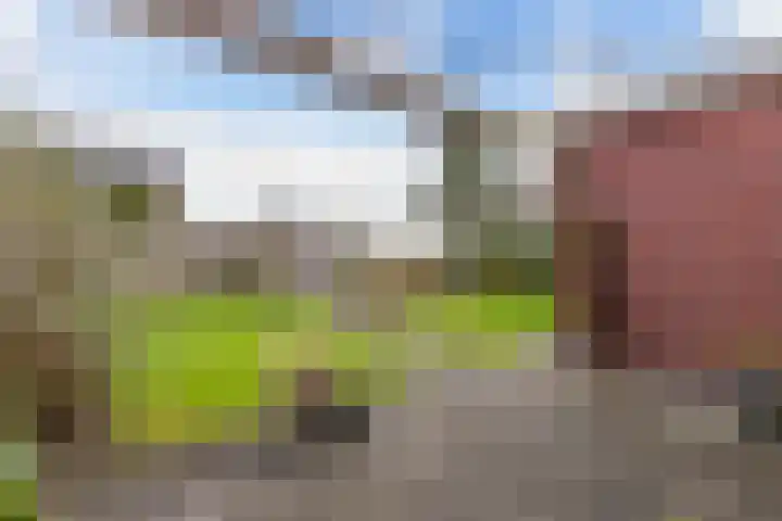 Arumer Feart 2 Franeker thumbnail 25