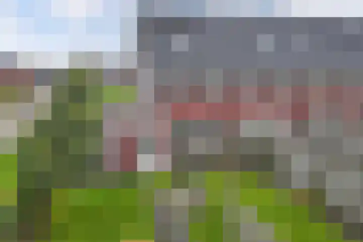 Arumer Feart 2 Franeker thumbnail 32