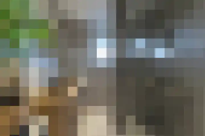 Arumer Feart 2 Franeker thumbnail 41