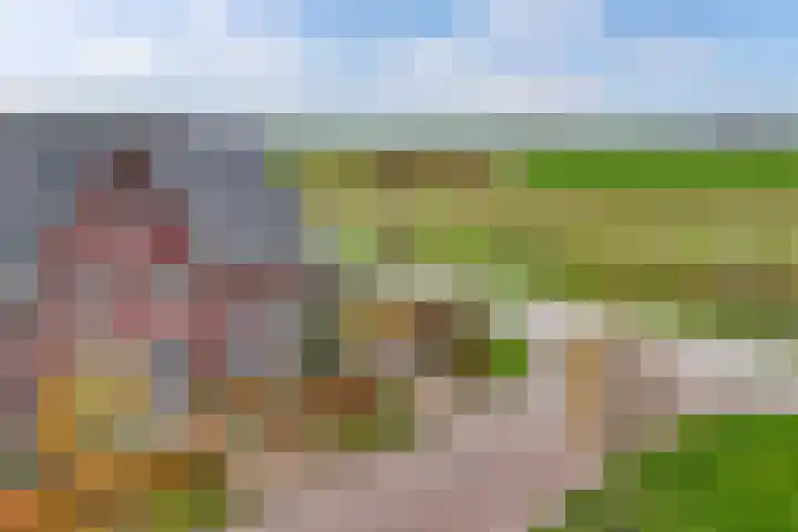 Arumer Feart 2 Franeker thumbnail 8