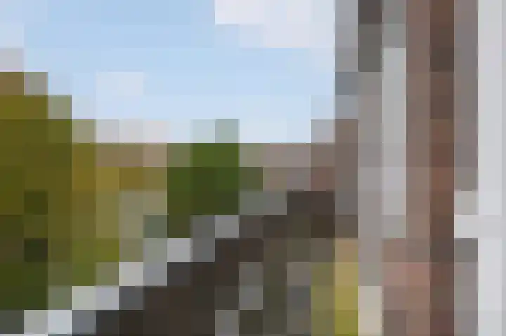 Arumer Feart 2 Franeker thumbnail 9