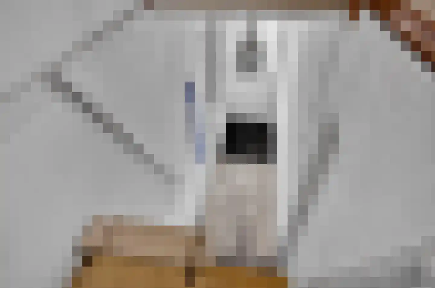 Arumerweg 81 Witmarsum thumbnail 11