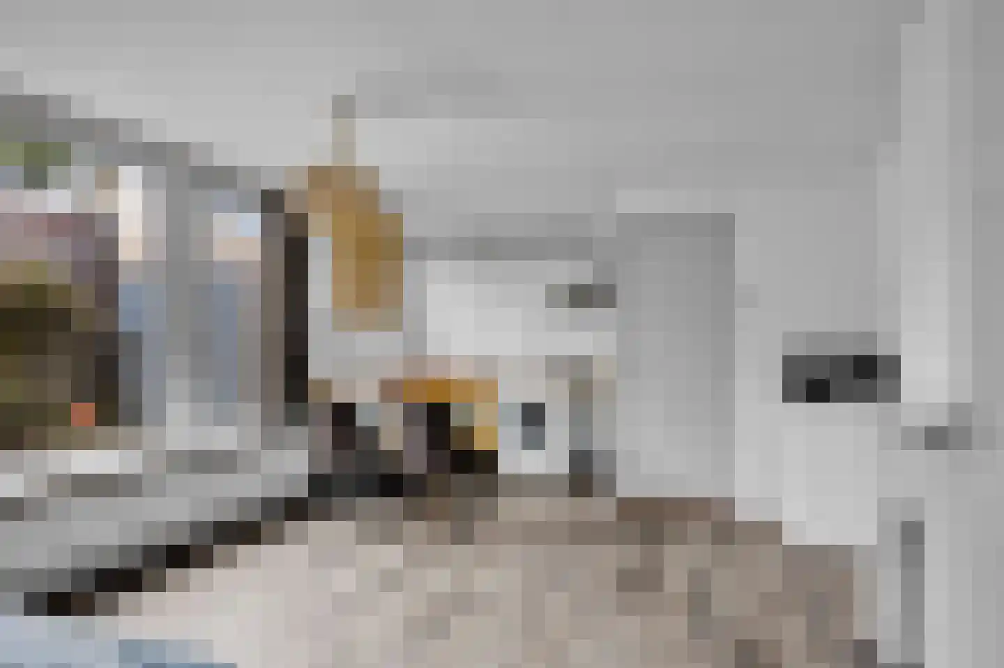 Arumerweg 81 Witmarsum thumbnail 6