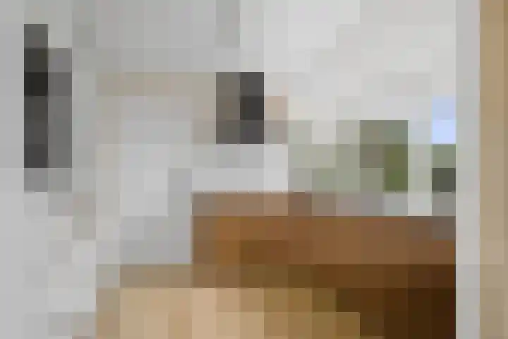 Arumerweg 84 Witmarsum thumbnail 17