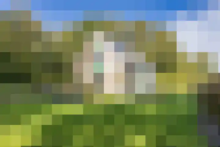 Arumerweg 84 Witmarsum thumbnail 36
