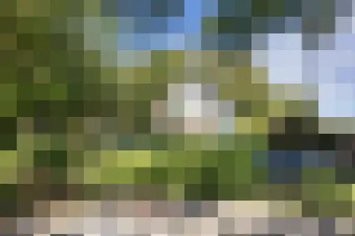 Arumerweg 84 Witmarsum thumbnail 37