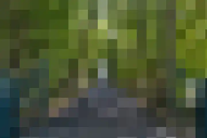 Arumerweg 84 Witmarsum thumbnail 4