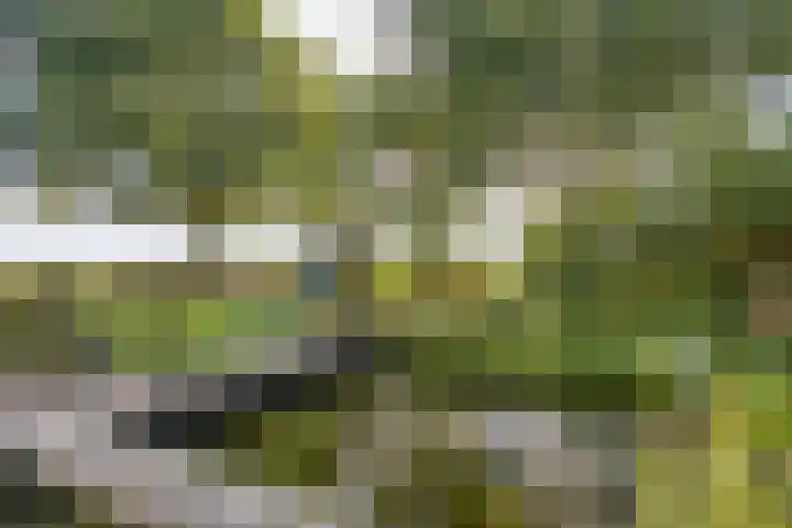 Arumerweg 84 Witmarsum thumbnail 40