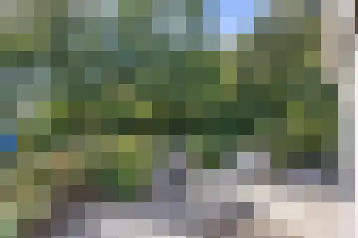 Arumerweg 84 Witmarsum thumbnail 41