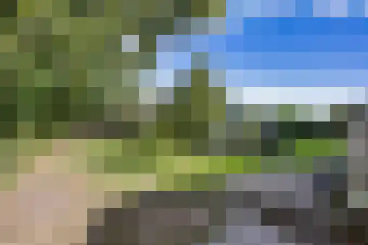 Arumerweg 84 Witmarsum thumbnail 43