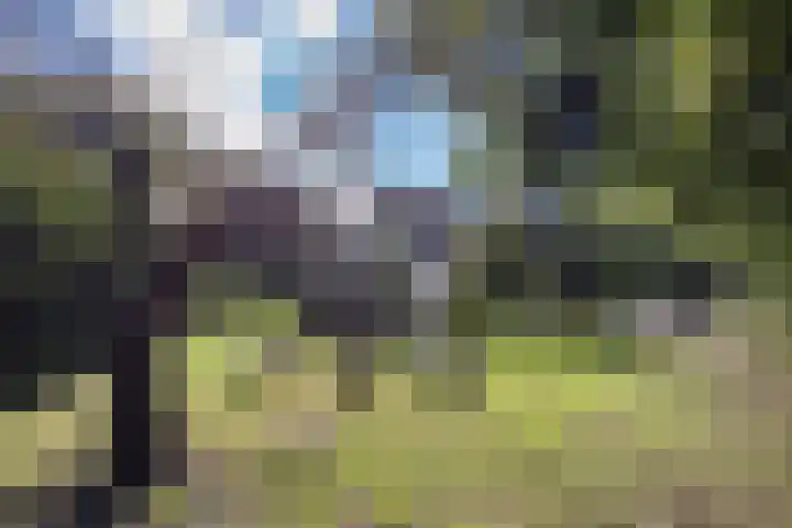 Arumerweg 84 Witmarsum thumbnail 44